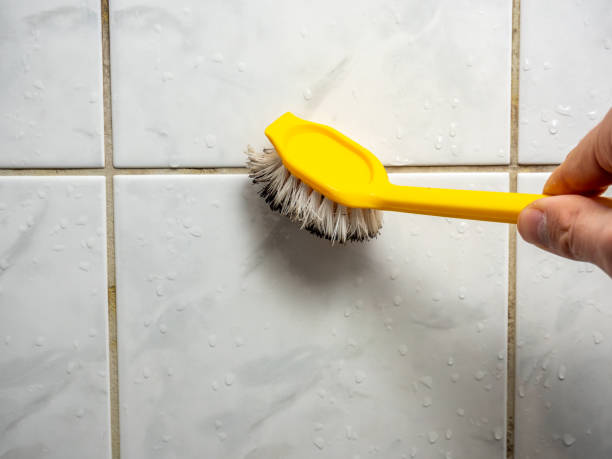  Seadrift, TX Mold Removal Pros