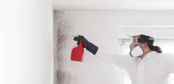Best Mold Remediation for Specific Building Types in Seadrift, TX